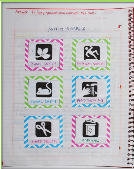 Interactive Notebook: Safety Symbols